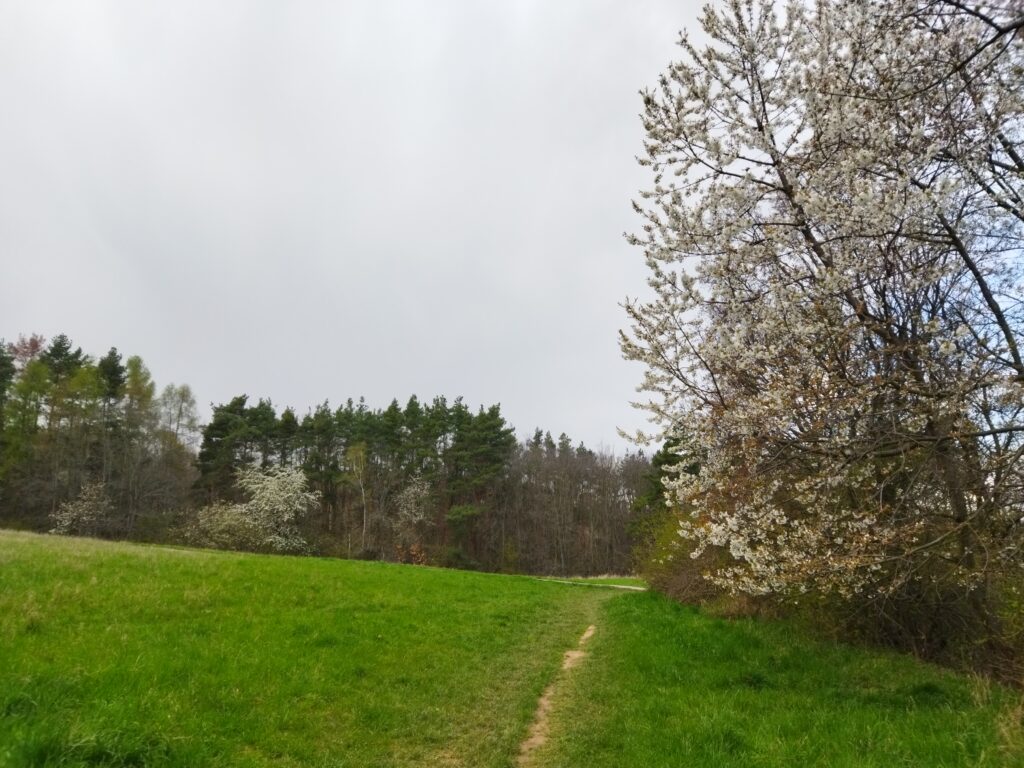 Divoká Šárka, Duben, Stock