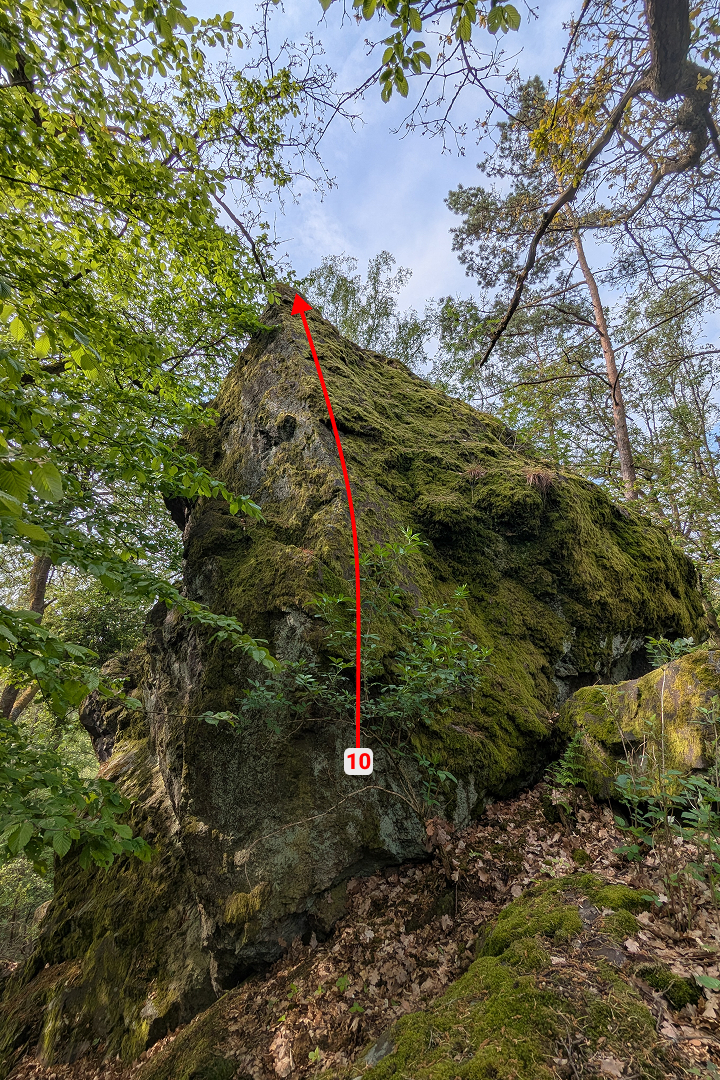 Poslední, Terasa